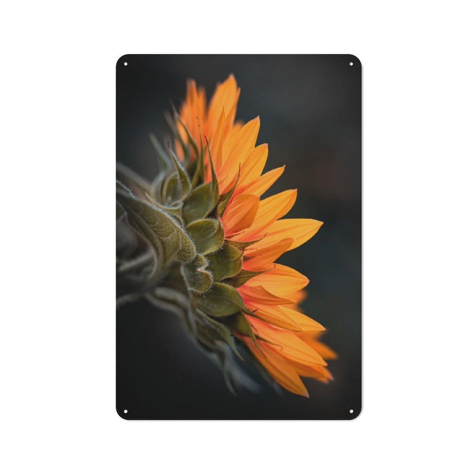 Junmoney Sunny Portrait Metal Plaque 30X20cm With For Hallway Wall, Retro Decor, For Wall Display Collectors