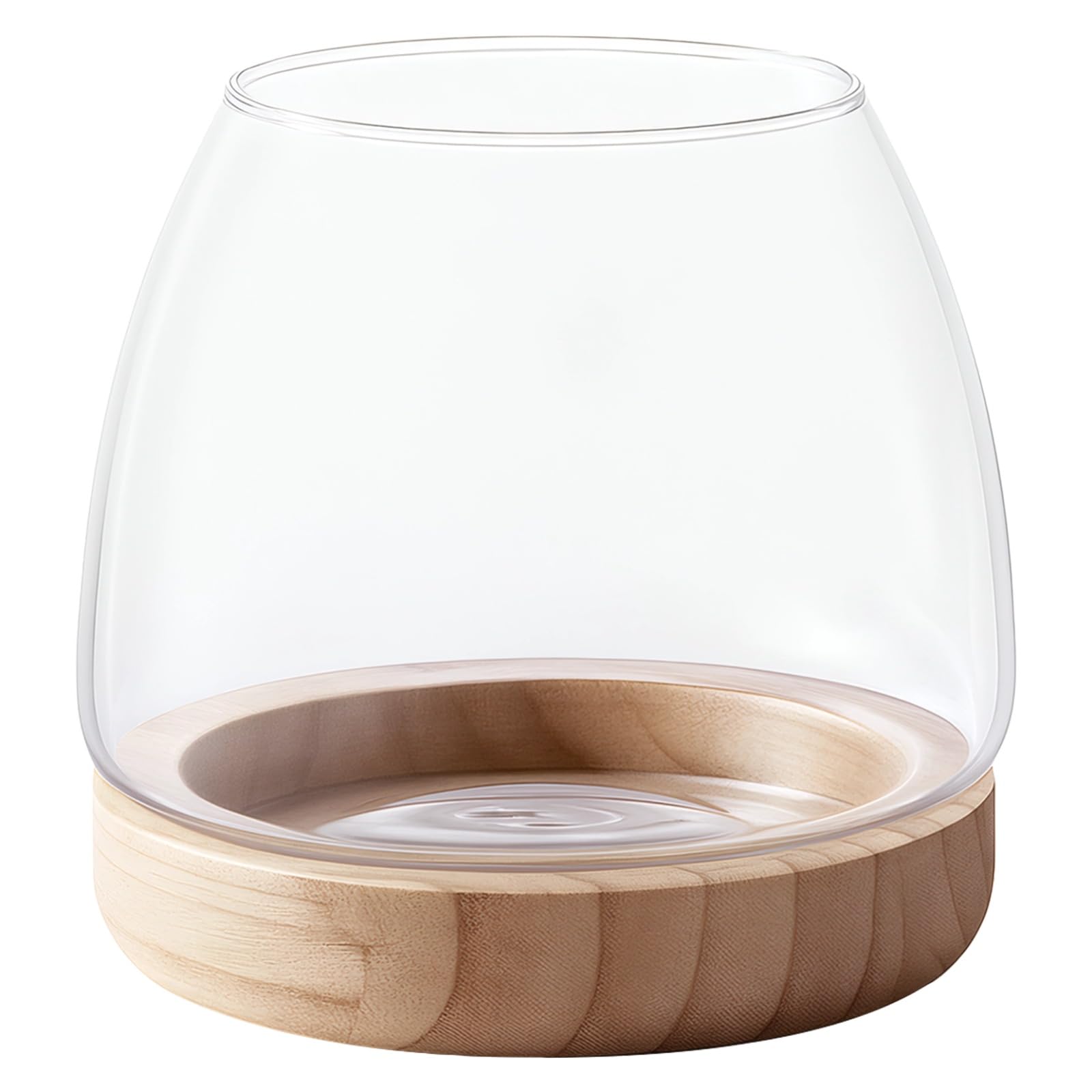 Packool Glass Plant Terrarium with Wooden Stand, Vase for Hydroponics, Succulents, Desktop Decoration, Fish Tank, Home, Office, Tabletop