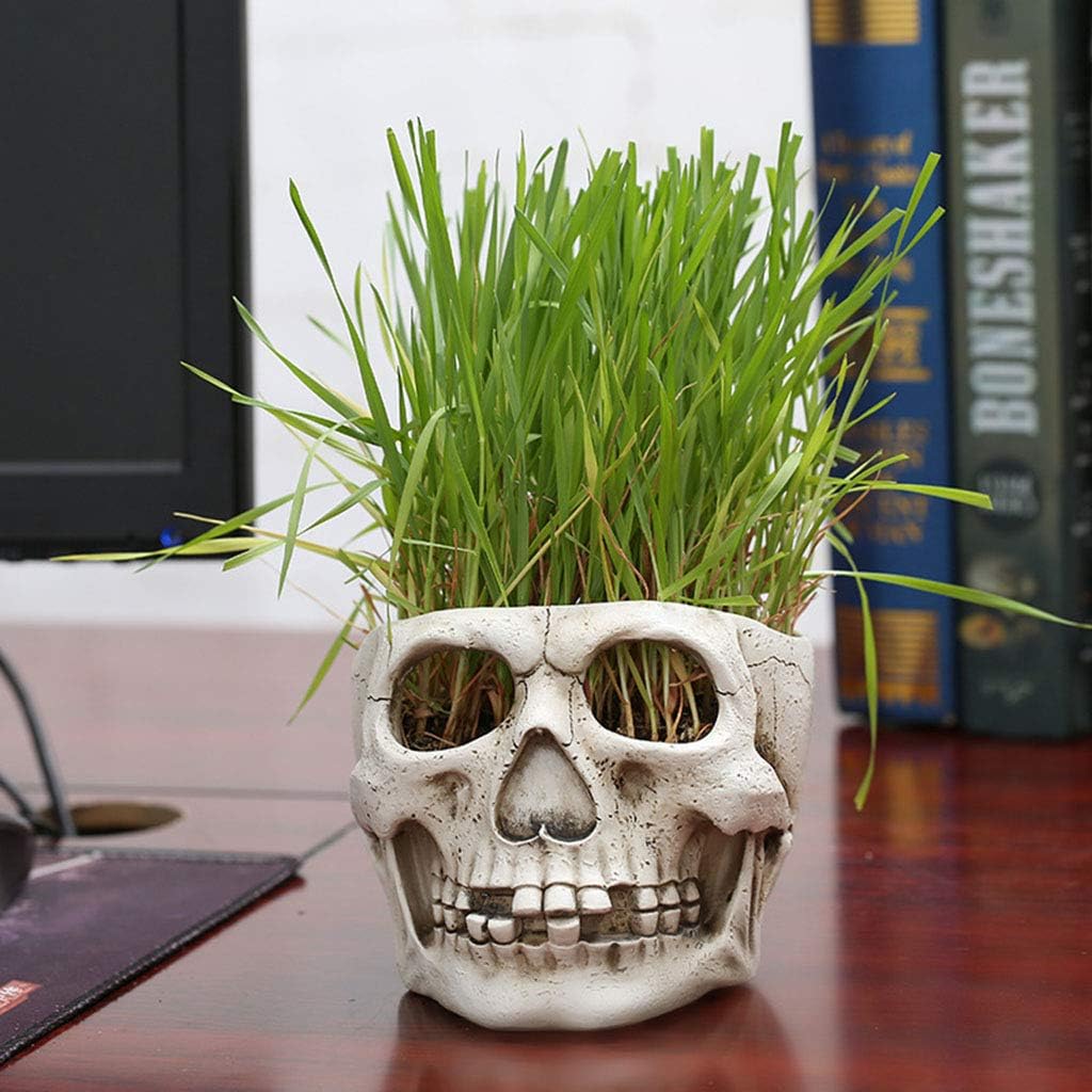 Resin Skull for Head Shaped Flower Pot Planter Container Ornaments Home Garden D Plant Pots