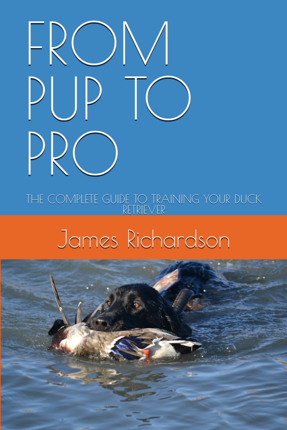 FROM PUP TO PRO: THE COMPLETE GUIDE TO TRAINING YOUR DUCK RETRIEVER