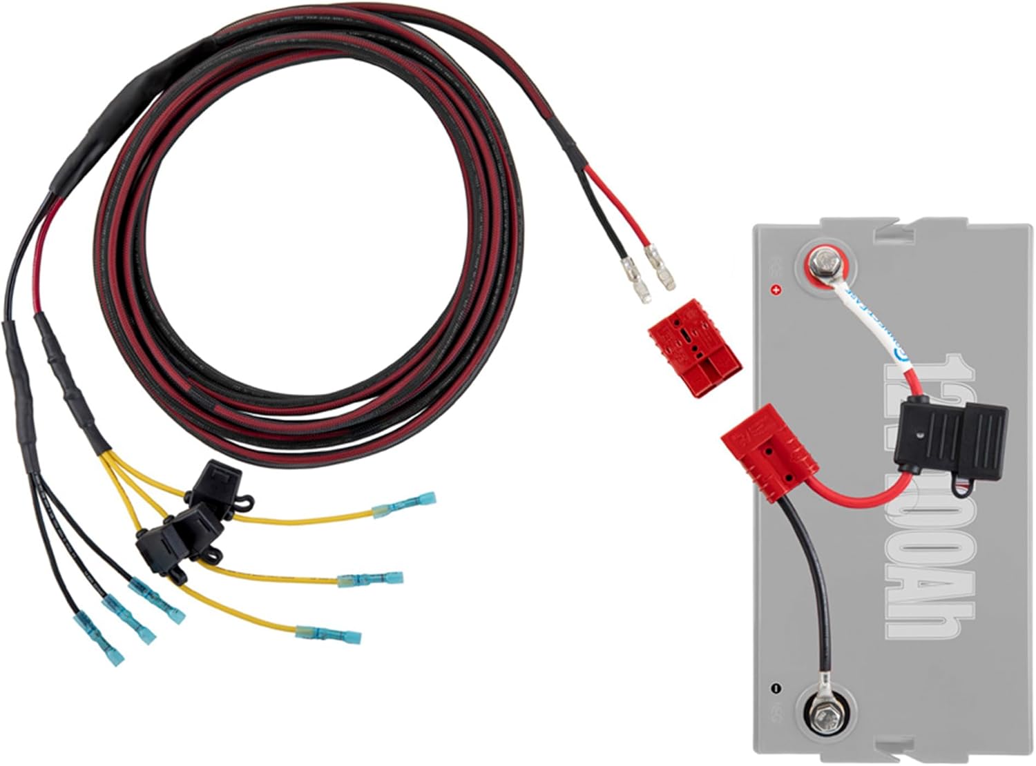 Connect-Ease Yak-Ease Kayak Wiring Harness Kit RCE12VGPYAK | 8-Foot 10 AWG Wire, 3 Fused Drops | Powers Fish Finder, GPS & Kayak Fishing Accessories | 12V Quick Connect Plug, Marine-Grade Wiring Kit