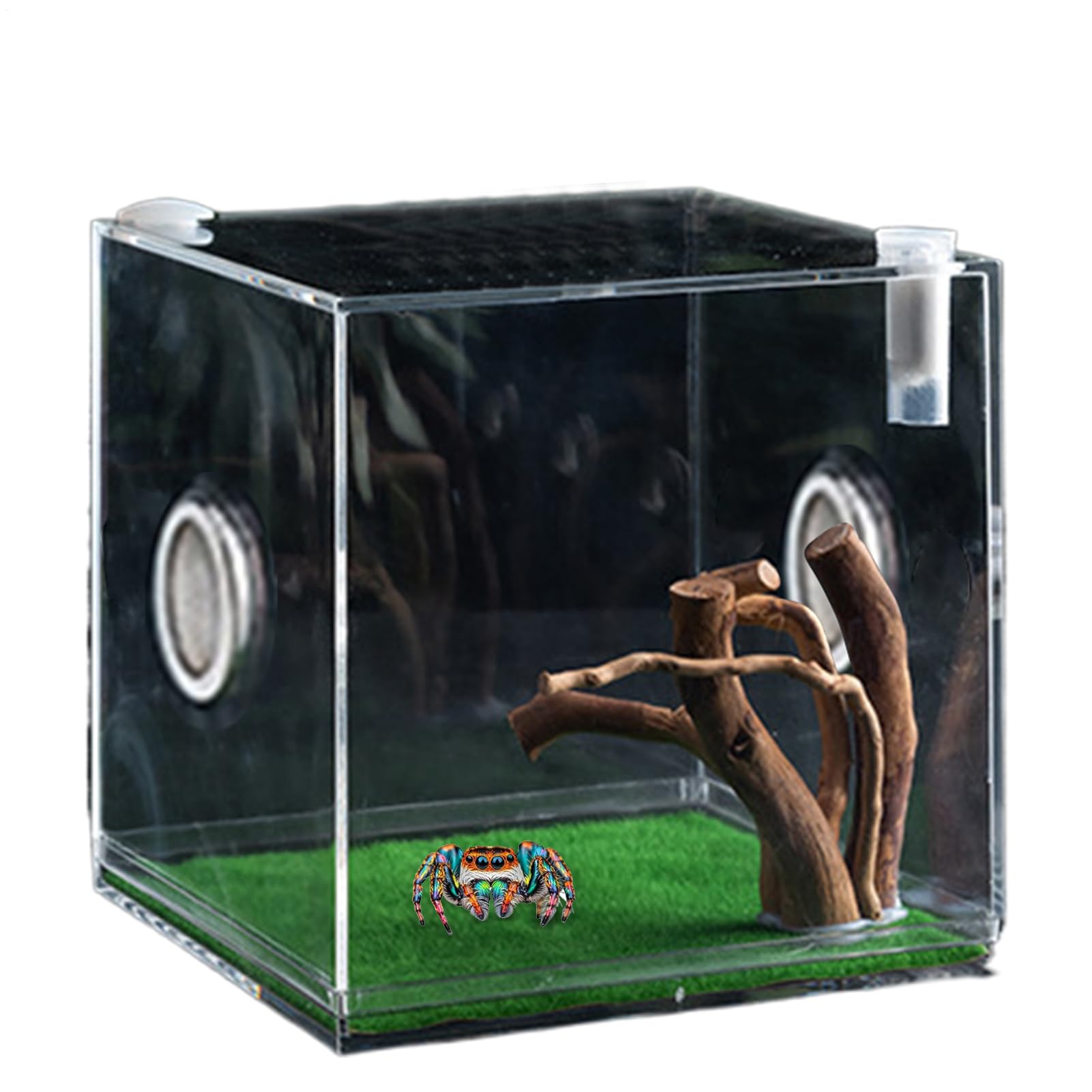 Reptile Growth Terrarium, Acrylic Reptile Growth Enclosure, Lightweight and Small Animal Breeding Box for Turtles, Beetles, Snails, and Lizards