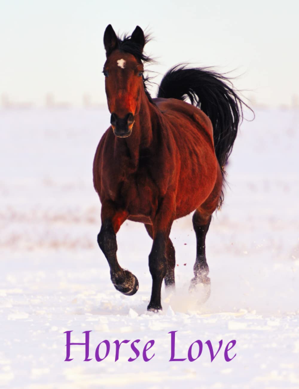 Horse Love 3 (M) Beautiful Horse Trots Thru Snow Journal Notebook, Graphics Interior, Pretty Back Cover: Lovely Present Gift For Horse Lovers Women Girls Kids Teens! This Cover Available Sizes S-M-L