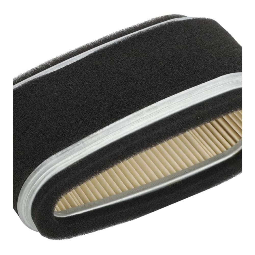 Filtre à air 11013-2110 moteur FC420V remplace M74285 LX176 170