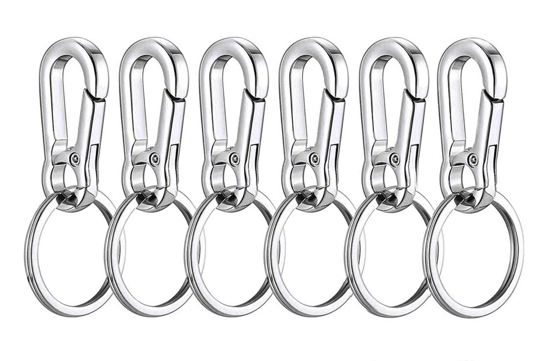 DONGYIDONGYI Metal Carabiner Keychain Key Clip Key Ring Key Chain Ring Holder Organizer for Car Key Finder, Metal Hooks Keychain Hooks for Lanyard Key Rings Crafting 6 PCS