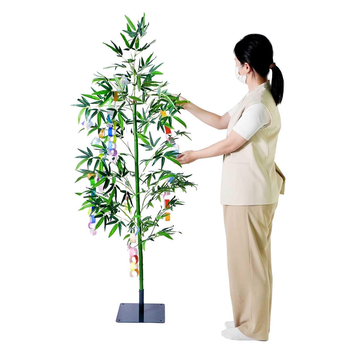 Amazon.co.jp: デラックスバンブーツリー 七夕 笹 180cm 1本 ※スタンド
