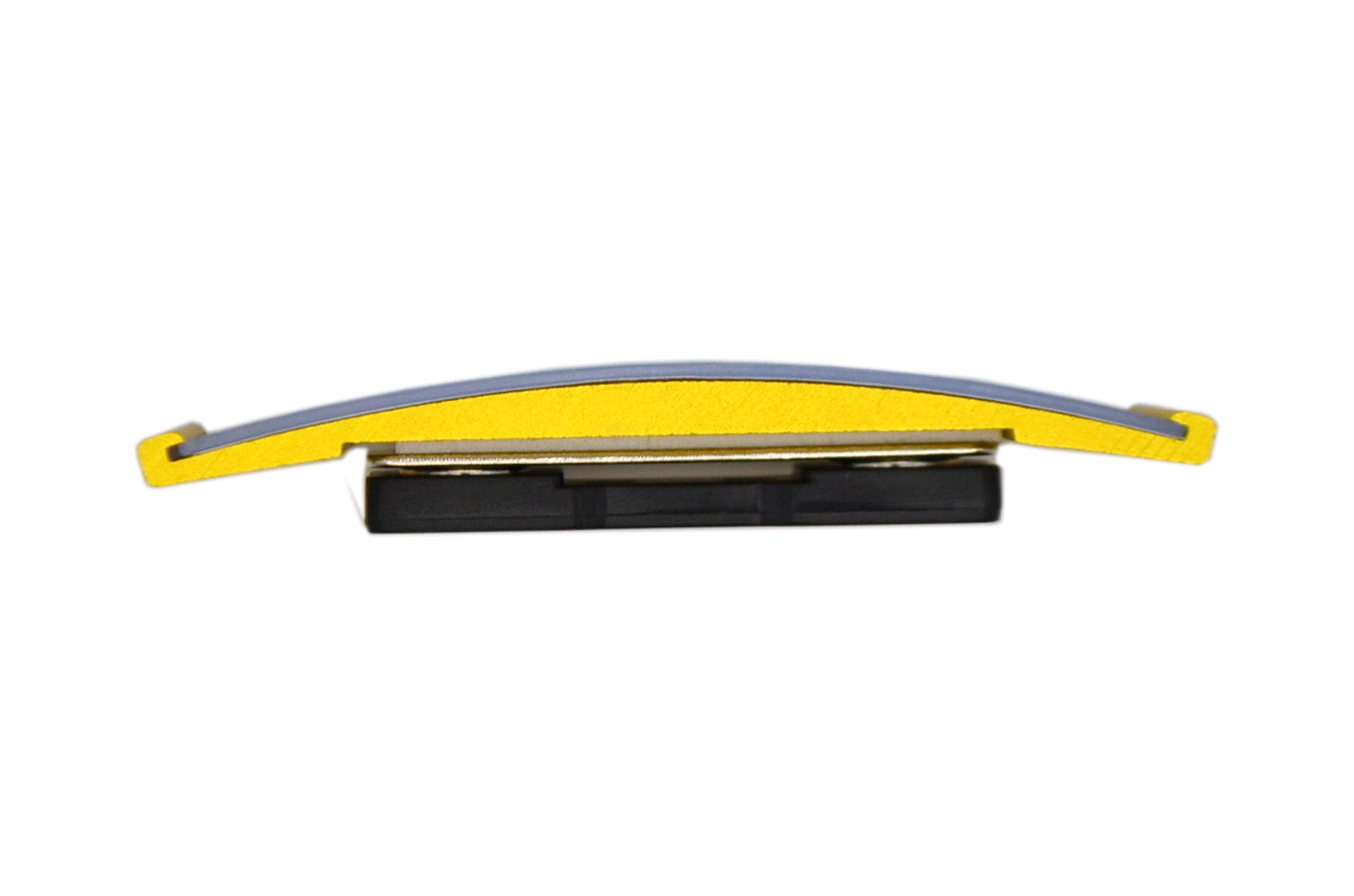 50 STÜCK edles Aluminium Namensschilder mit starkem Magnet Doppelmagnet silber eloxiert professionelle Qualität, modisch gewölbt ca. 70x25mm mit Papiereinschub (gold)