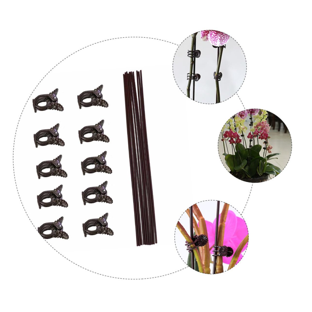 ibasenice 2 Sätze Blumenzweig Jacken Set Garten Befestigungsklammer Pflanzen Kletterstütze Zimmerpflanzen Wand Stützklammern Pflanzenklammern Pflanzen Festklammer 20 Stück * 2