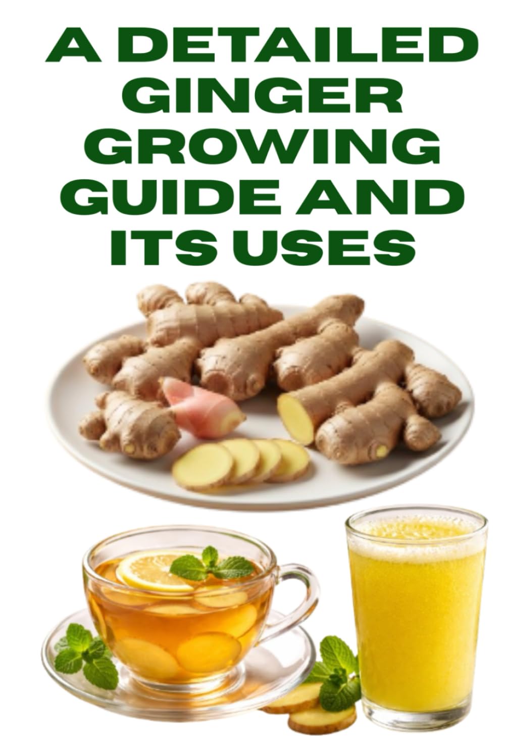 A Detailed Ginger Growing Guide and Its Uses (A Detailed, Informative Series on Homesteading)