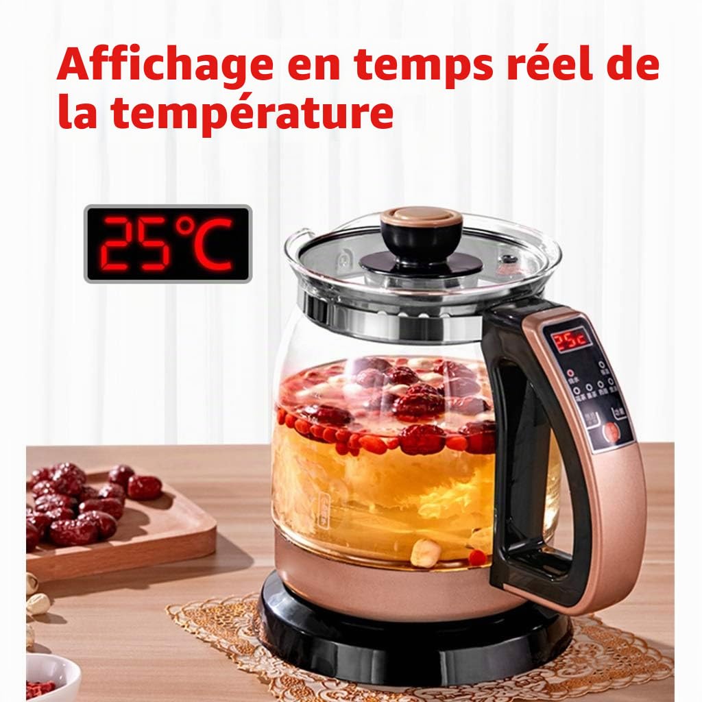 YXCKG Theiere avec Infuseur, 1,2 L 700 W Bouilloire, Bouilloire Thermostat Réglable, Filtre Anti-Calcaire Amovible Lavable, Bouilloire en Verre avec Maintien Chaud Jusqu'à Compact Home