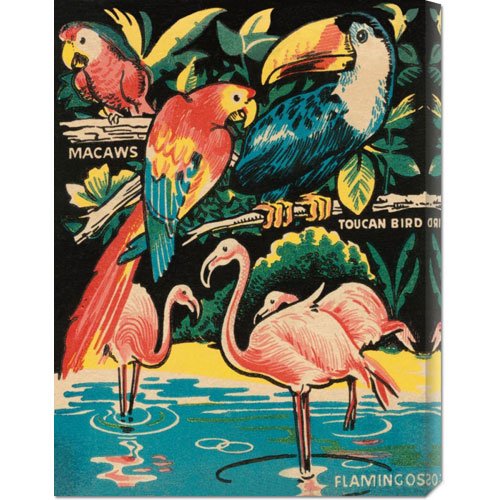 Made4Mansions Retro Travel 'Tropical Hobbyland - Birds' Stretched Canvas