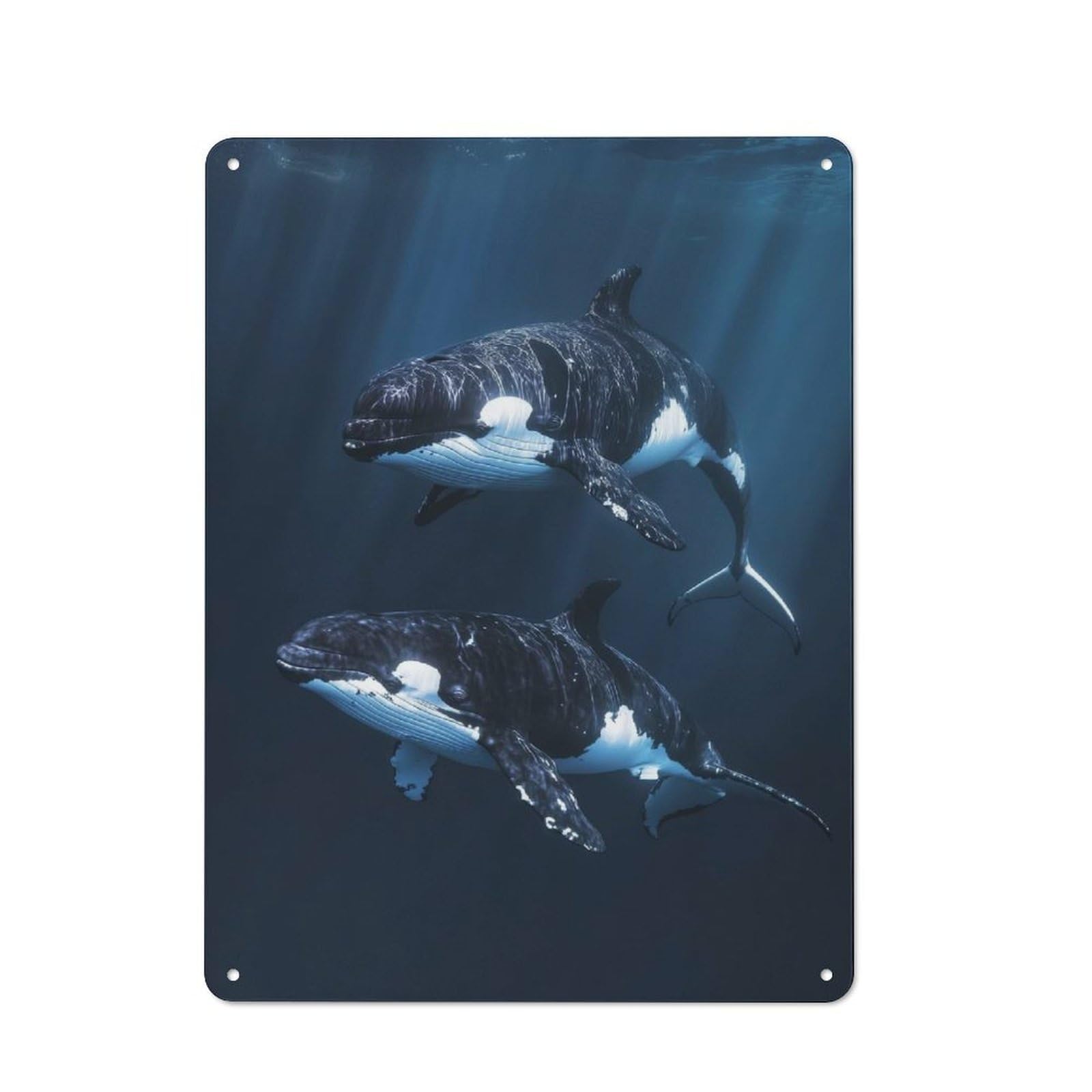 Junmoney Two Orcas Swimming Industrial-Style Tin Sign 40X30cm For Café Or Home Bar, For Cooler-Month Interiors With Industrial Character