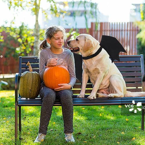 Haustier Fledermausflügel,Hund Fledermaus Kostüme mit 2Pcs Pumpkin Bell,Katze Fledermaus Kostüm,Halloween Katze Kleidung,Halloween Haustier Kostüm,Haustiere Cosplay-Kostüm(Schwarz)