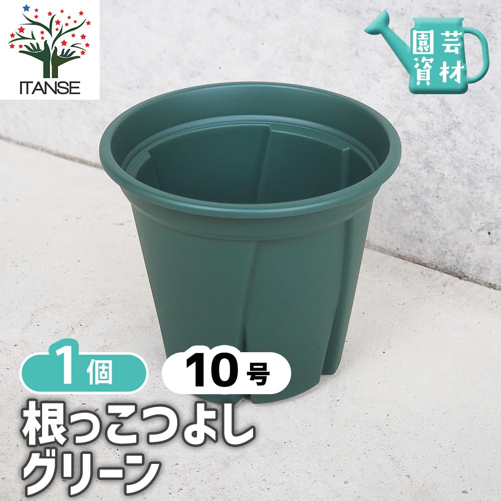 Amazon.co.jp: 根っこつよし グリーン 10号 1個 スリット鉢 プラ鉢