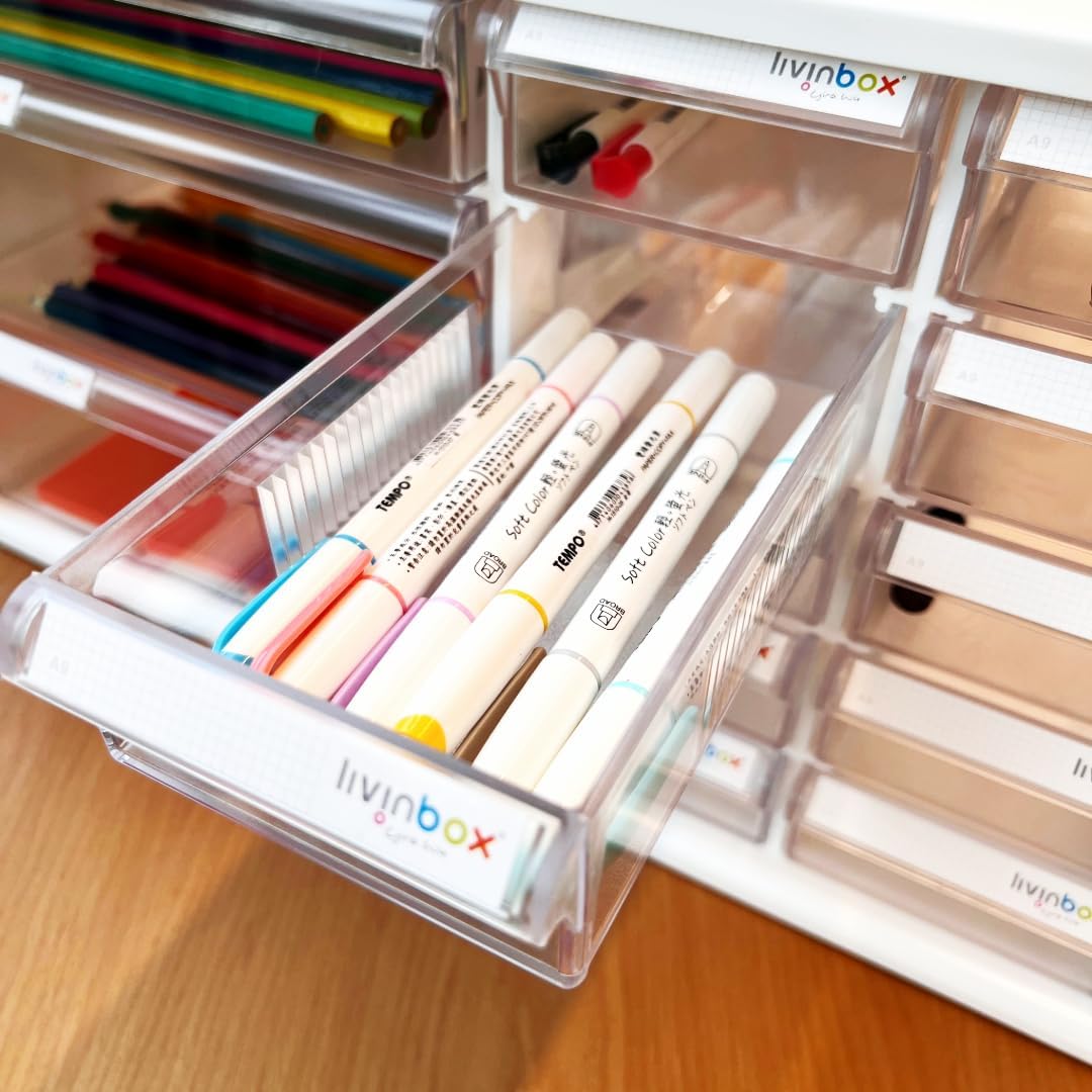 livinbox 13 Drawers and Dividers Desk Drawer Organizer for Hair Accessories Arts Crafts Sewing Supplies Stationary Teacher Toolbox Medicine Vitamin, White, A9-2110-WT