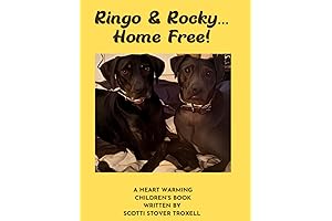 Ringo EP3: The Foldable and Portable Bluetooth Speaker for Adventurers