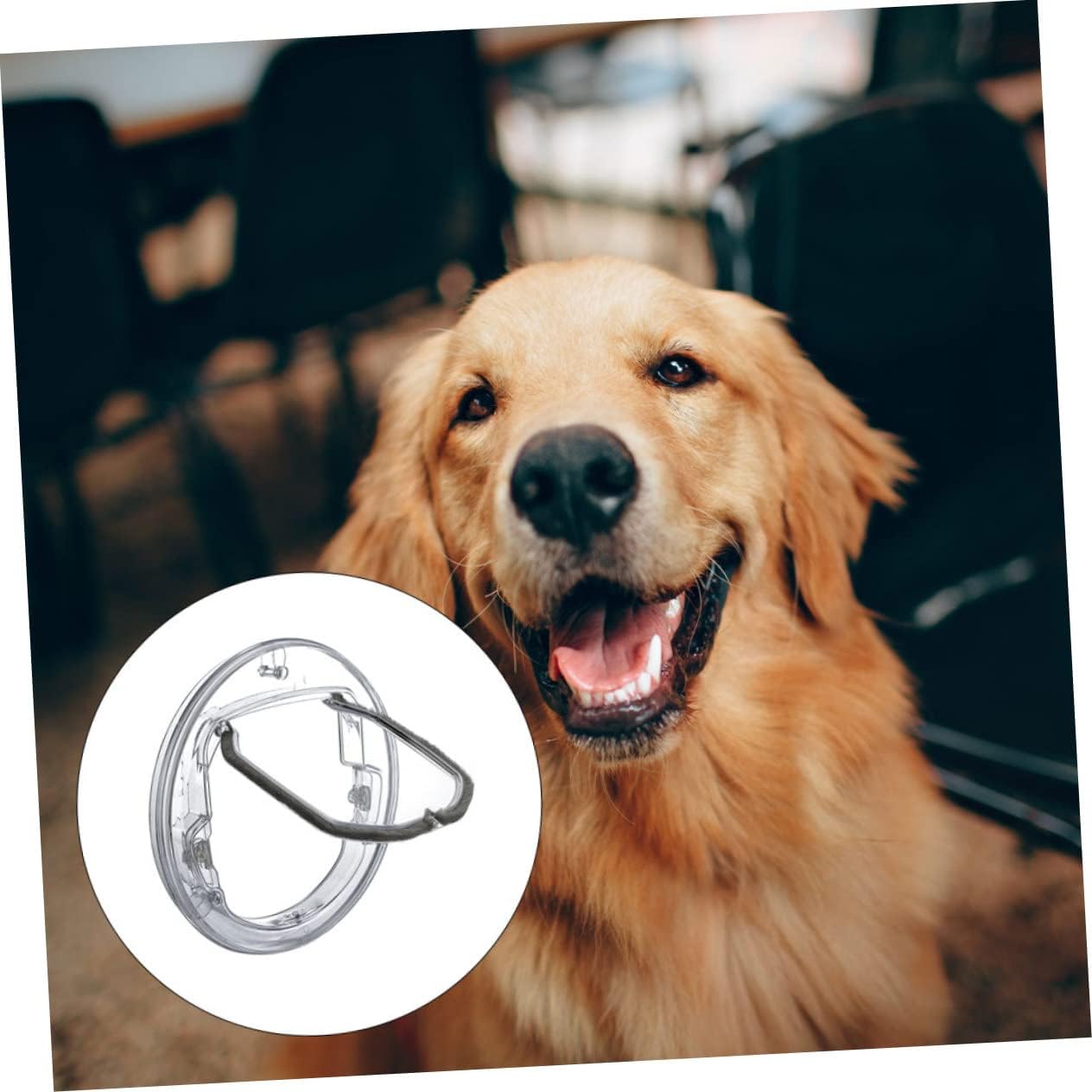 Controllable Transparent Pet Door with Lockable Flap Round Plastic Cat and Dog Access Hole Easy Install Energy Saving Entry Exit Gate for Pets