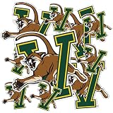 Desert Cactus Vermont Catamounts Sticker Car Decal (T3-1)