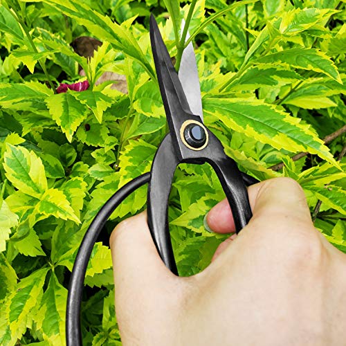 Tijeras profesionales para bonsái 7.3 pulg miniatura 5