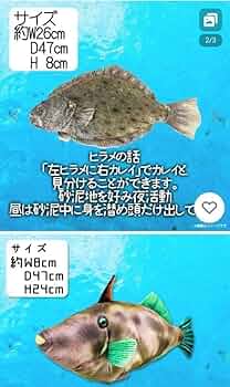 WILD GRAPHY × さかなクン プロデュース ぬいぐるみ 3体セット 23-07-1719491-1.jpg