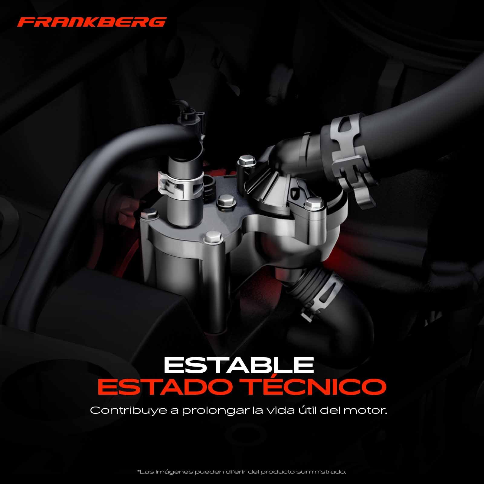 Frankberg Termostato Refrigerante Carcasa para C3 C4 C5 DS3 DS4 DS5 207 208 3008 308 5008 2006-2020 11537534521
