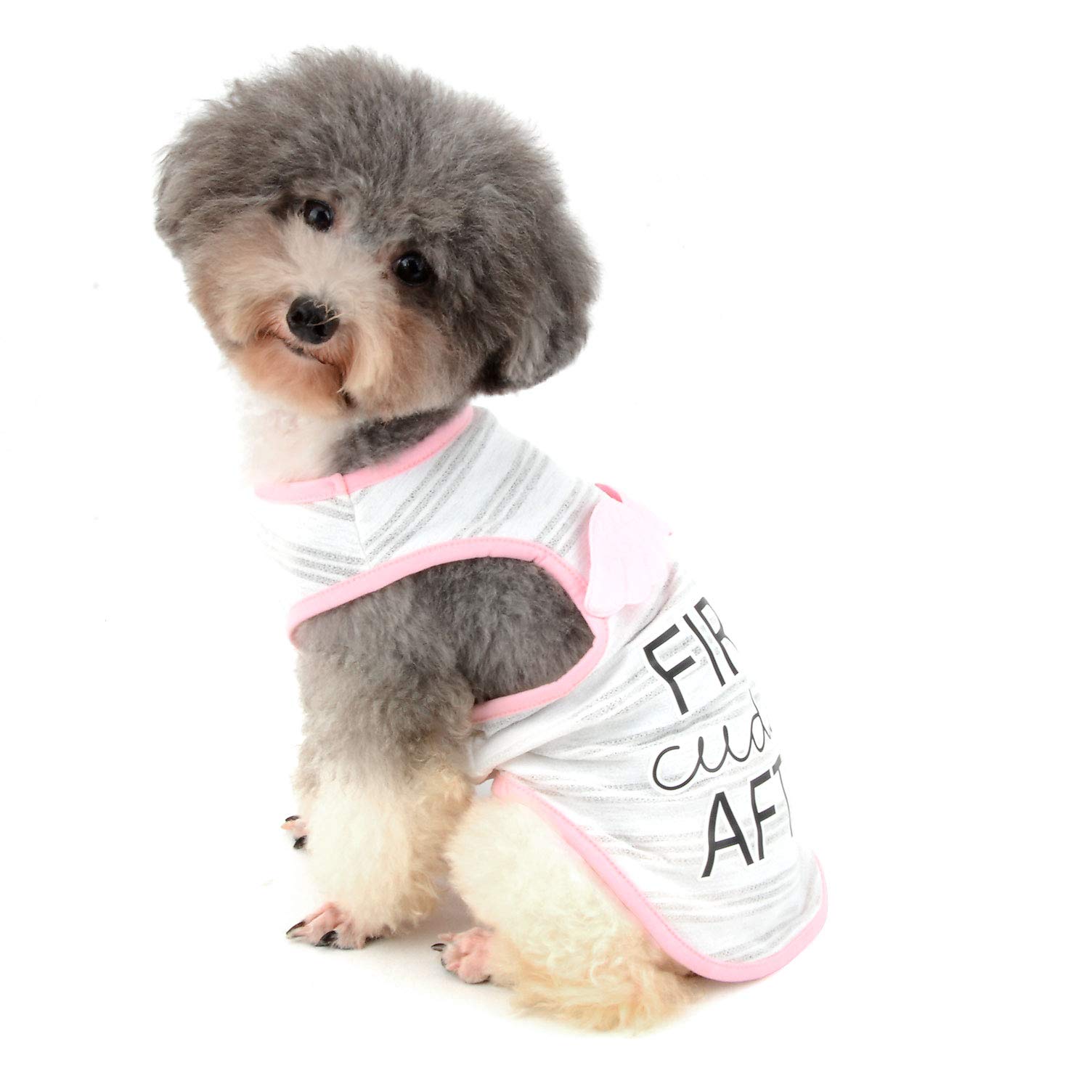 Ranphy Small Dog T-Shirt Breathable Pet Vest Comfy Cotton Tank Top Angel Wings Puppy Tee Sleeveless Shirt Cat Clothes Girls Boys for Summer White L