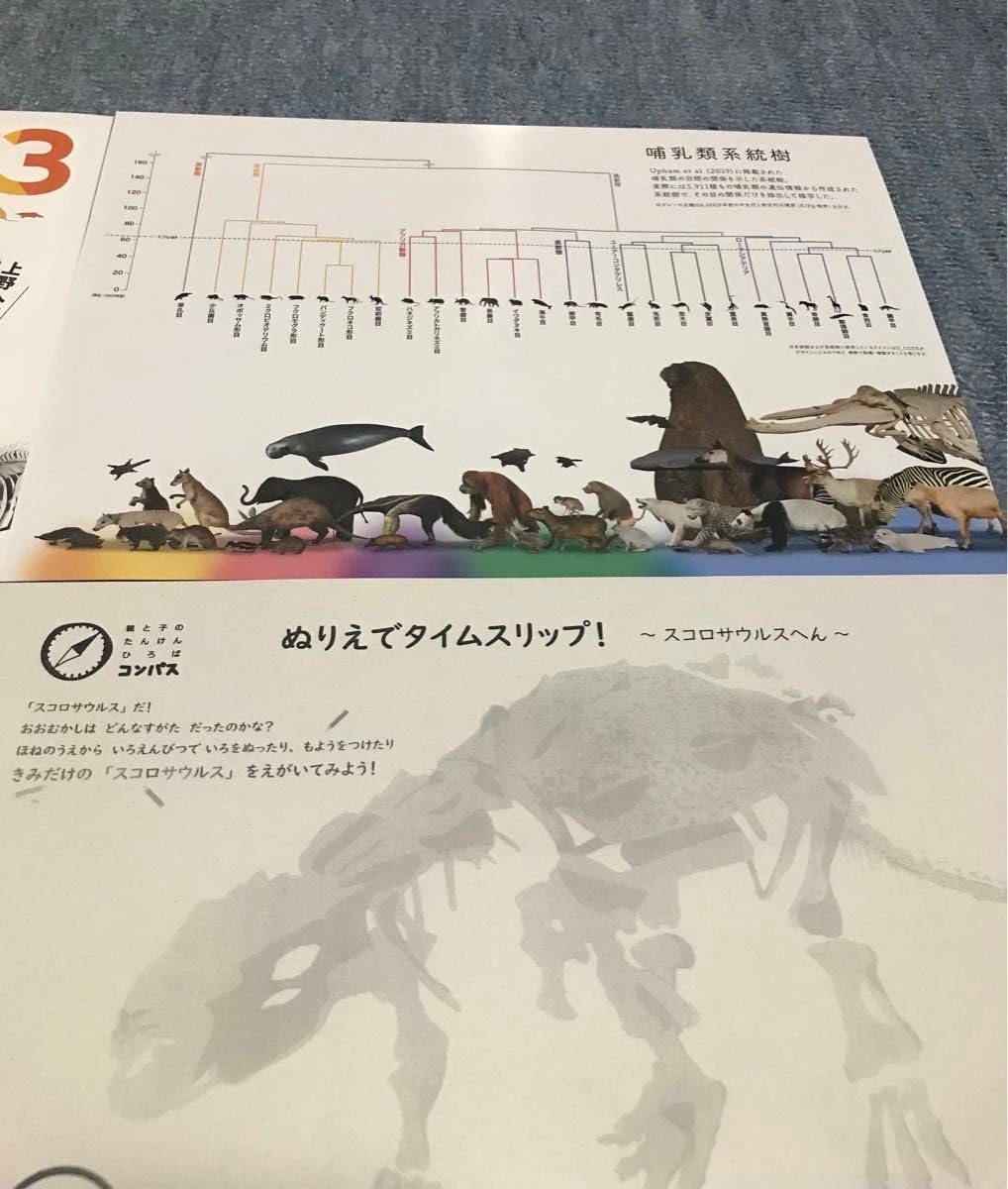 美品　大哺乳類展3 告知ポスター　カラー版 2枚セット】国立科学博物館 大哺乳類展3 ヒグチユウコさん