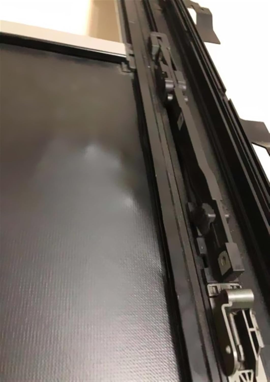 Shuya Chiba (千葉修也) 蝶画Toucan Bird (オオハシ)