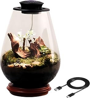 UFO Led Grow Light Glass Terrarium, Miniature Ecosystem for Desk with Moss, 5V/2A Black Light, Ideal for Home and Office Decor, Includes Drip Bottle and Type-C Cable