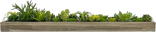 Miniatura 4 de Galt International Bandeja de madera de 31 pulgadas con asas para suculentas surtidas de imitación  Bandeja de madera gris, musgo verde artificial,