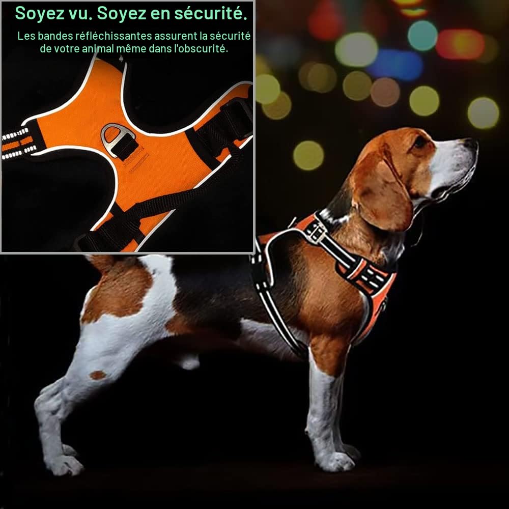 Ensemble de laisse de harnais personnalisé pour chien sans traction avec nom et numéro de téléphone, harnais de gilet personnalisé résistant pour éviter les tractions, l’étouffement, l