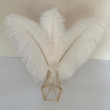 10pcs Large White Ostrich Feathers 16-18 inch Fluffy Feather for Crafts Home Party Decoration Wedding Centerpieces Clothes Vase Decor
