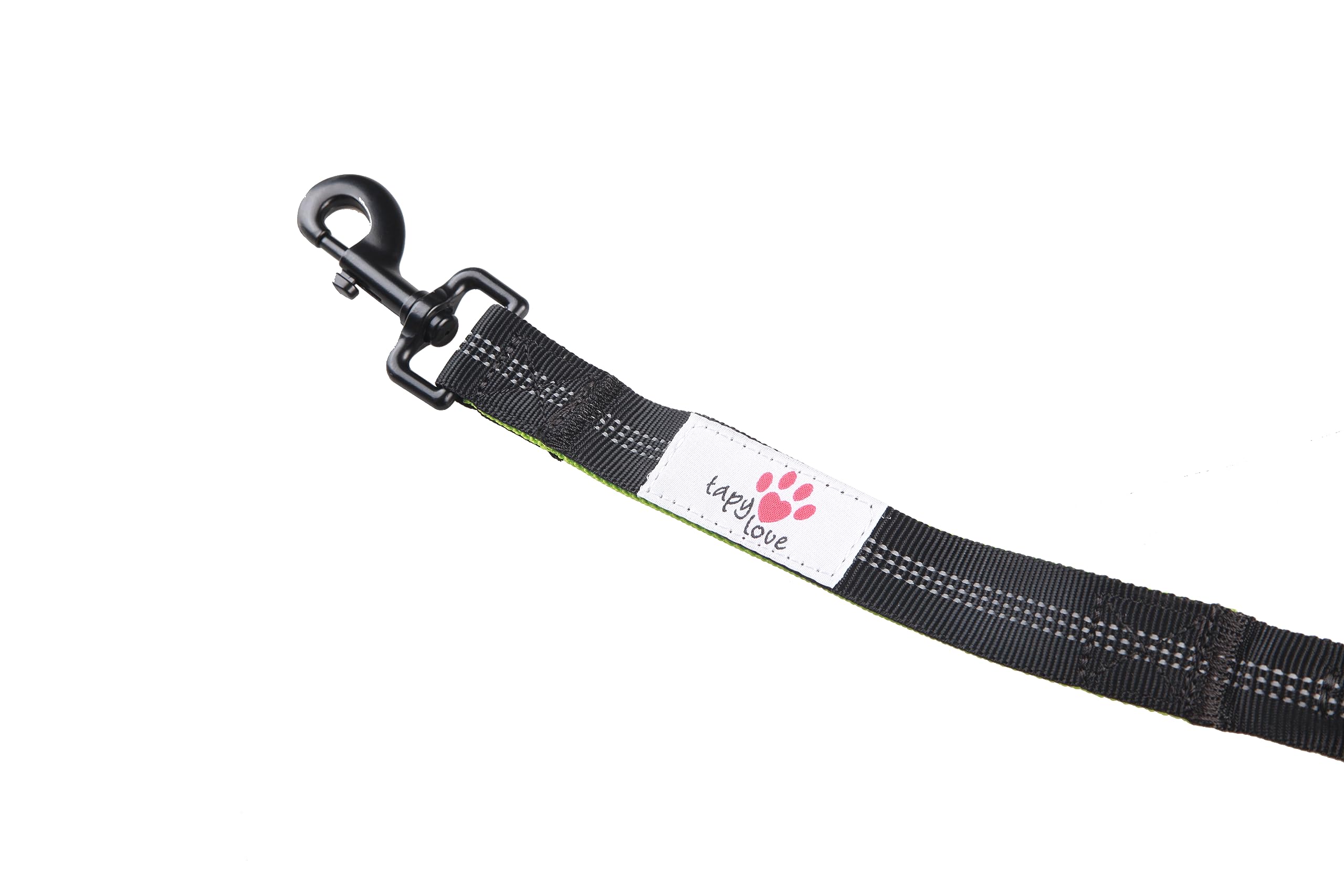Hundeleine - Länge ca. 2m - Robust mit Karabiner- Ruckdämpfer - komfortabel gepolsterter Griff - reflektierende Leine - Bungee Hundeleine (Grün)
