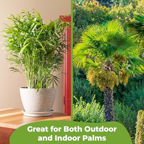 Fertilizante líquido para palmas Perfect Plants 1 Qt miniatura 4