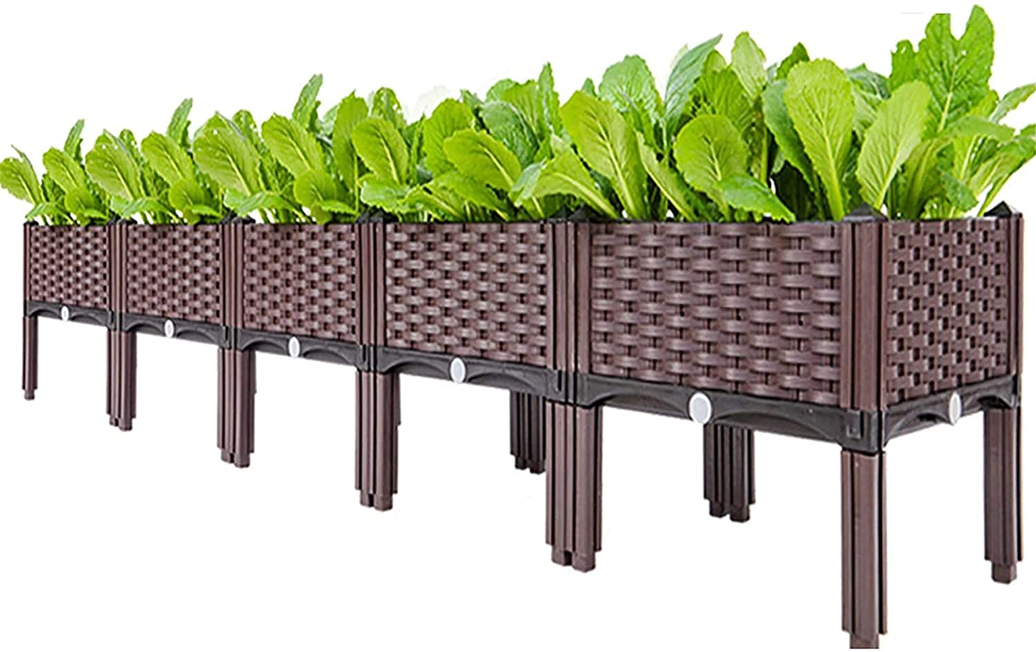 Buy er Raised Beds ing Box Indoor Outdoor Plastic er Grow, Elevated ing Boxes, for Fresh