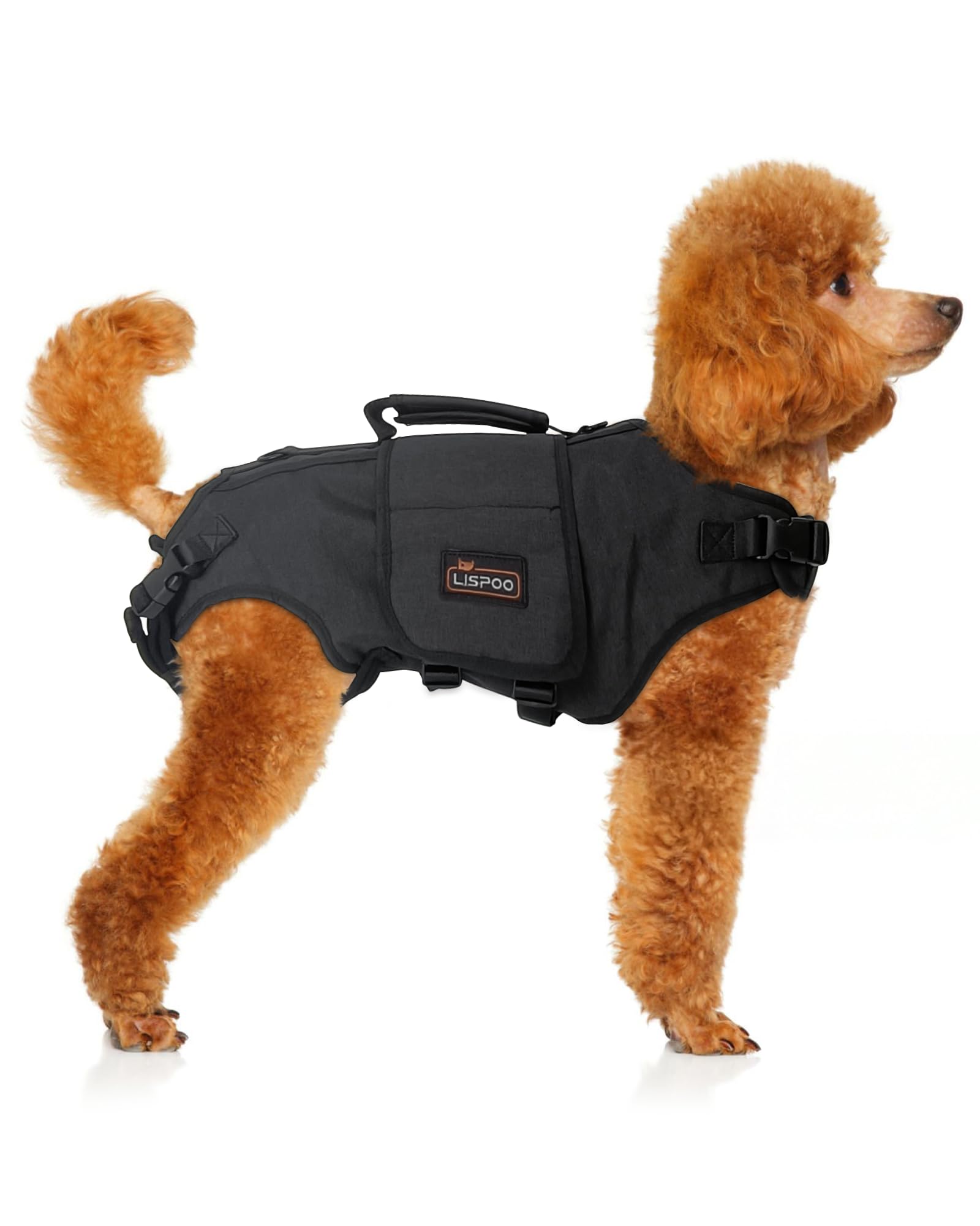 LISPOO Full Body Lift Harness for Dogs–Hind Leg Support Sling for Dogs with Hip Dysplasia, Arthritis–Adjustable Recovery Harness–Stability Assistance & Walking Help with Easy Lift Handle S-Size