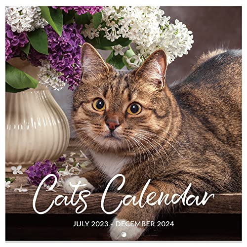 2023-2024 Calendar - Wall Calendar 2023-2024, Jul. 2023 - Dec. 2024, 12" X 24" (Open), Wall Calendar 2023-2024 With Unruled Blocks - Cutie Cat #TOP13