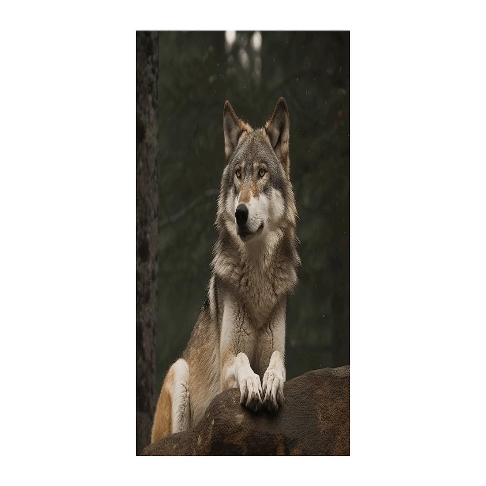 Fekiloot Style Gray Wolf Door Curtain Room Divider Curtains