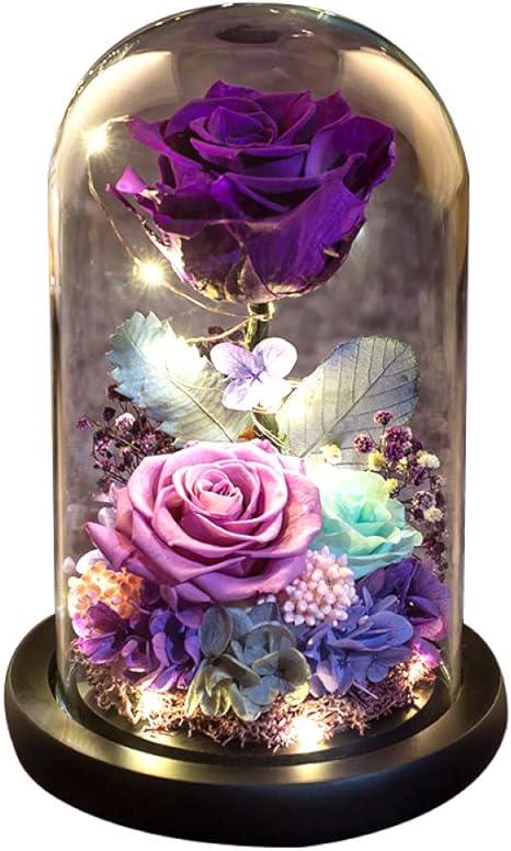 Amazon Yshca フォーエバーローズ プリザーブド 本物のバラ 美女と野獣 ガラスドームの木製ベース 彼女への誕生日 母の日ギフト 15x23cm パープル プリザーブドフラワー オンライン通販 Amazon Yshca フォーエバーローズ プリザーブド 本物のバラ 美女と野獣 ガラスドームの木製ベース 彼女への誕生日 母の日ギフト 15x23cm パープル プリザーブドフラワー オンライン通販