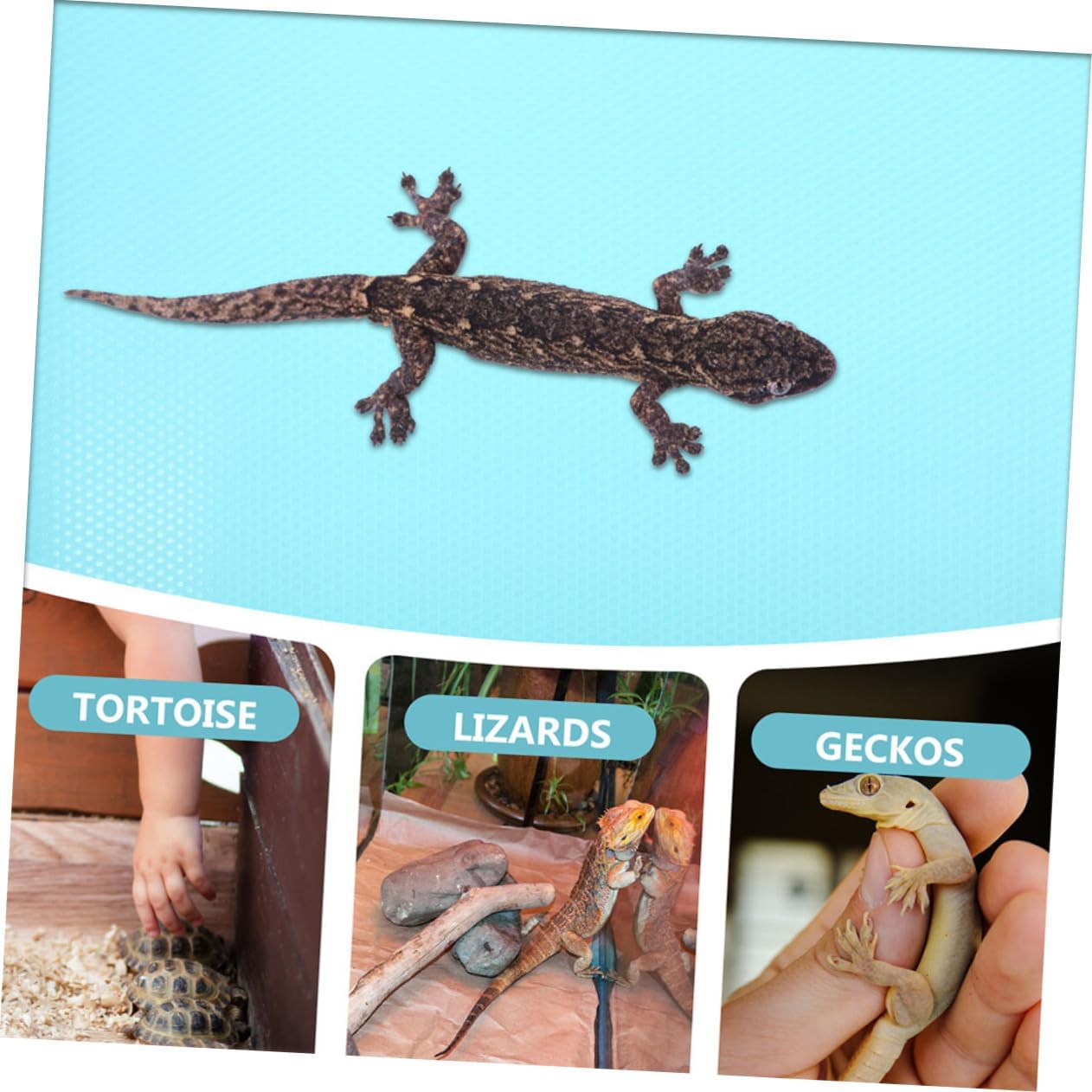 Reptile Carpet Substrate for Terrarium Material Breathable Comfortable for Bearded Dragon Tortoise Snake and Lightweight Easy to Clean