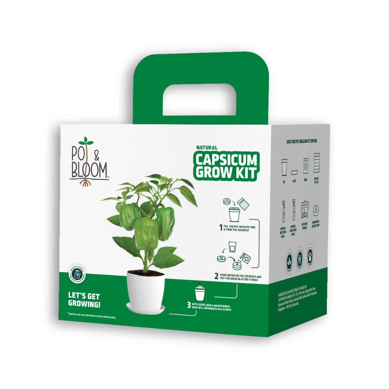 Pot and Bloom Capsicum Kit | Complete Grow Kit for Home & Balcony Gardening | Seeds, Pot, Nutrient Mix Included | Gardening Gift 4