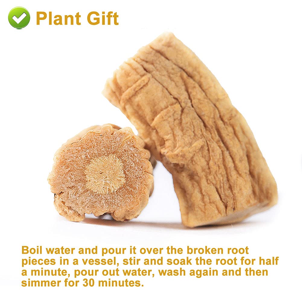 Plant Gift Radix Codonopsis,150G/5.29oz 党参 Pilosulae Root, Dried Bulk Herbs, Dang shen Raw from Chinese Health Tea, Raíz de pilosulae, hierbas a granel secas, dang shen crudo del té de salud chino