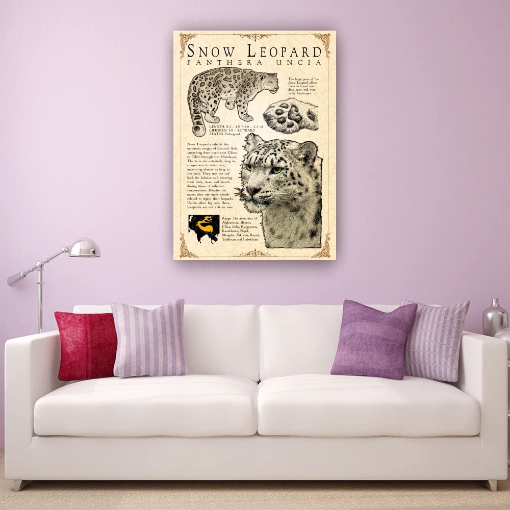 Snow Leopard Wall Art Knowledge Poster Educational Wall Art Vintage Prints Snow Leopard Infographic Poster Pictures for Bedroom Paintings for Bathroom Artwork Decor for Kitchen Decorations (08x12inch(20x30cm),Unframed): 12L" x 8W" Framed