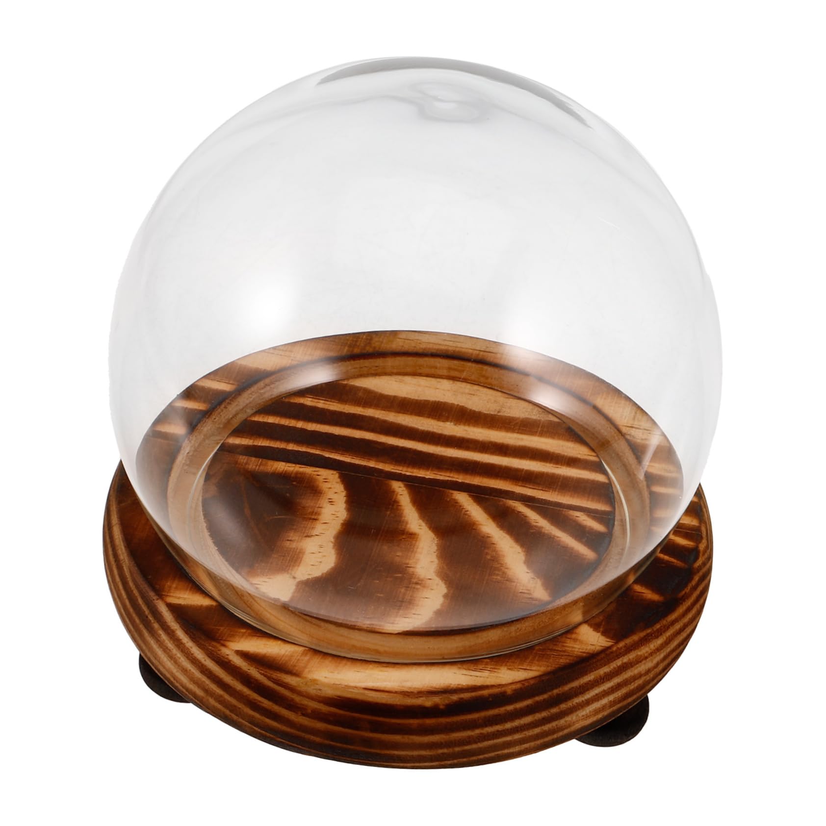 FUNOMOCYA Glass Dome Base for Display Cloche Glass Cover Flower Decorative Jar Display Plant Dome