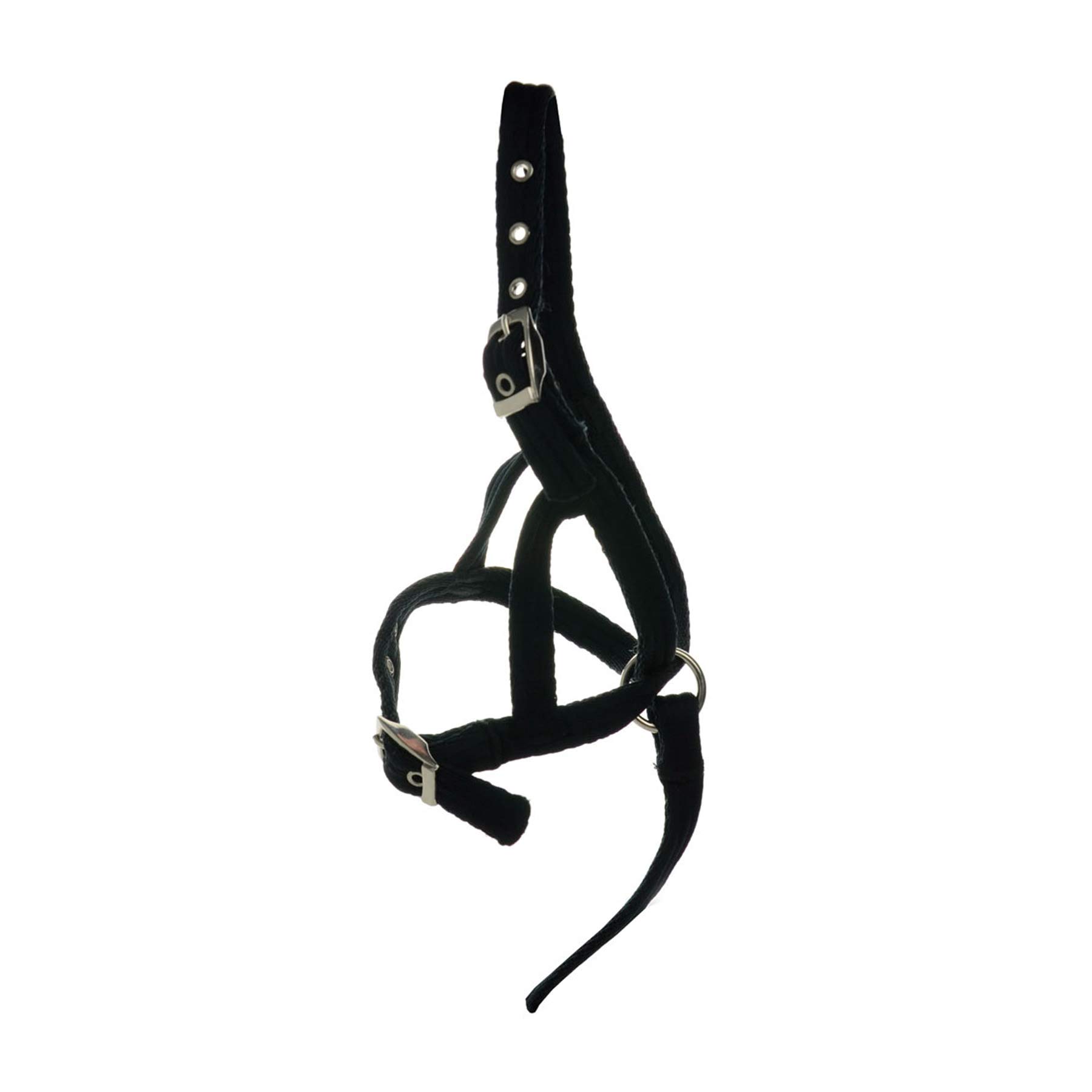 Y-H Hy Foal Slip Halter, Black