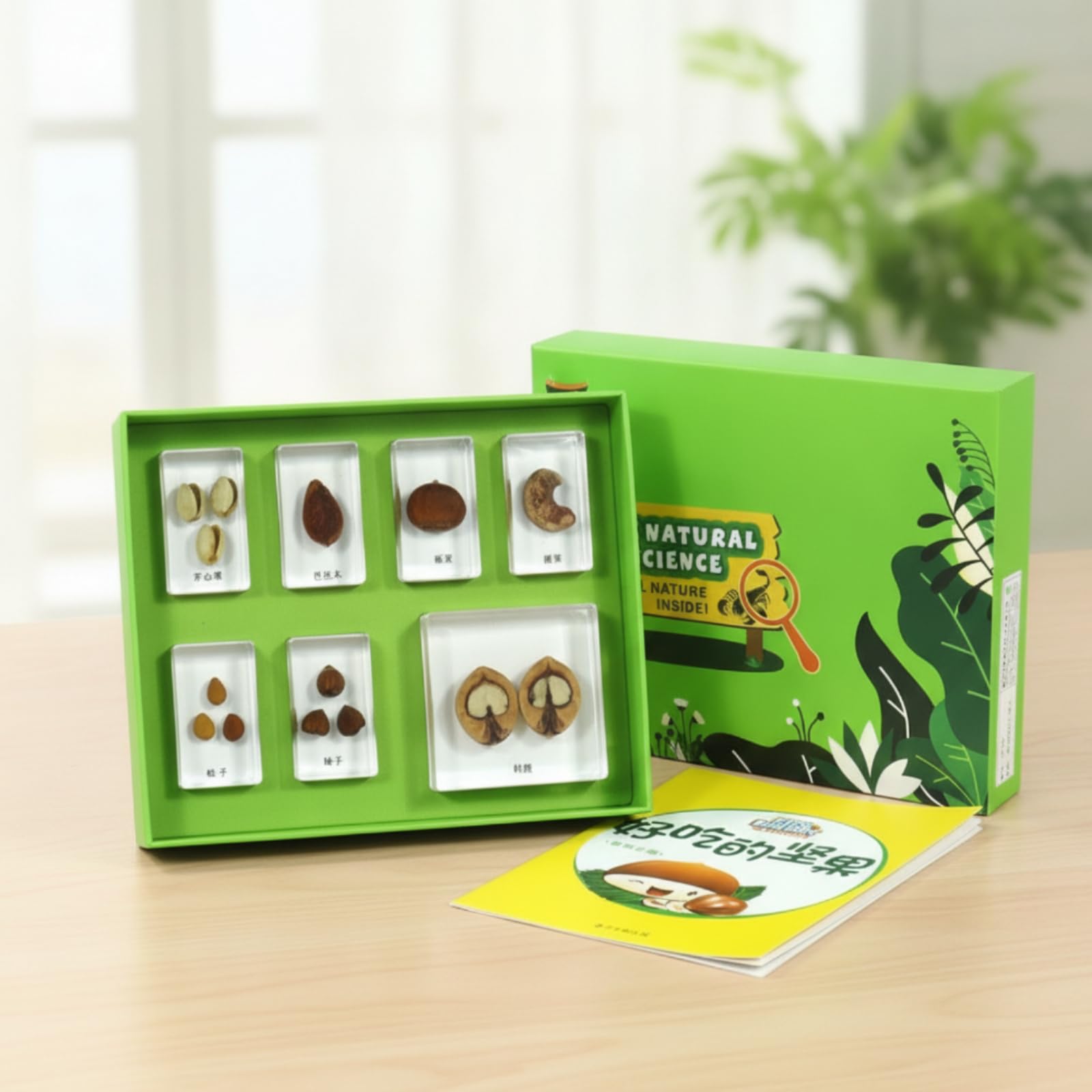 Especimen Educativo Infantil Conjunto de Aprendizaje de Biología Bloques de Resina con Bandeja Incluye Hojas Didácticas y Tarjetas Caja Clasificadora, Concha con Una Hermosa Casa