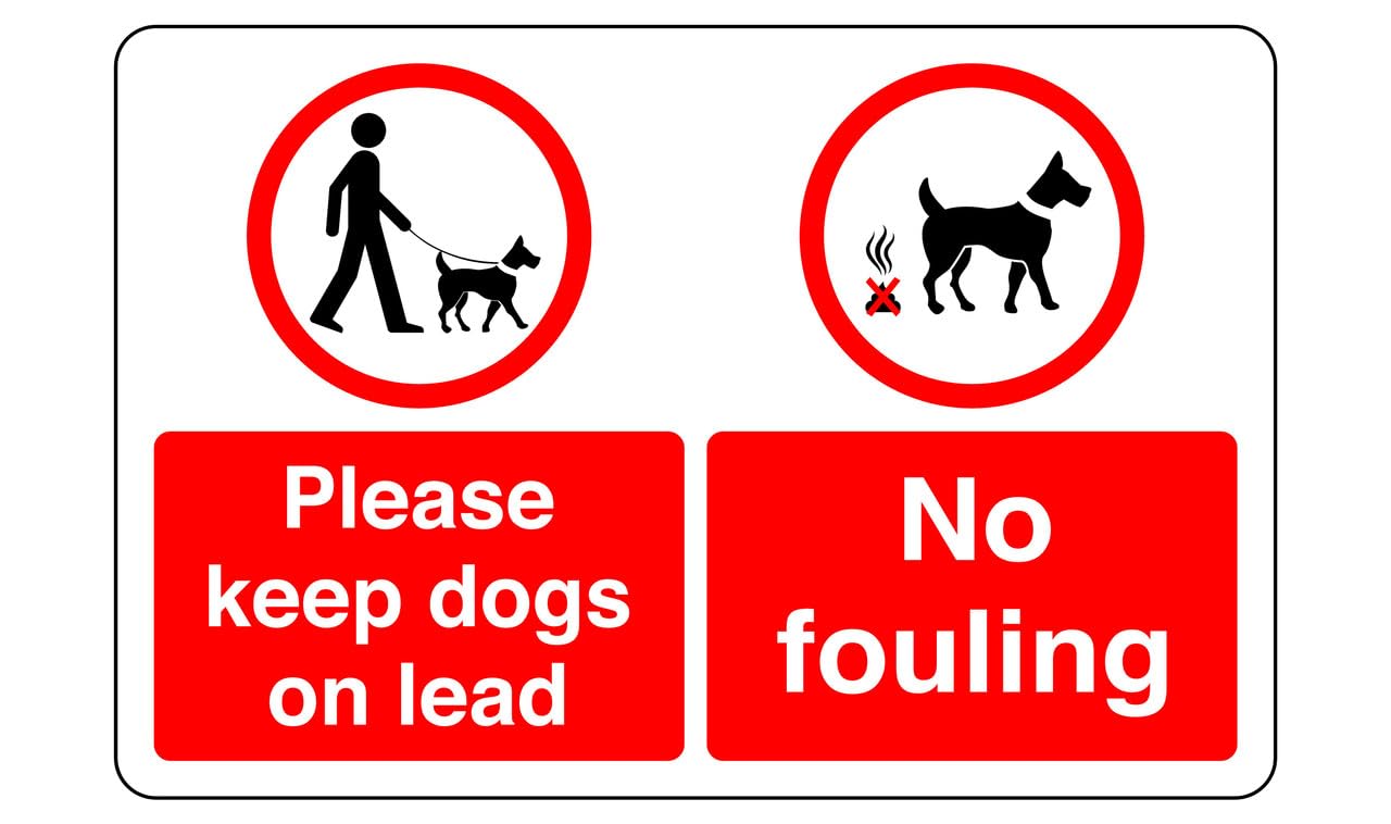 Safety First Display Ltd Red Please Keep Dogs On Lead No Fouling Safety Sign - High Tack Self-Adhesive Sticker (150Mm X 100Mm) Viewing Distance Within 3M.
