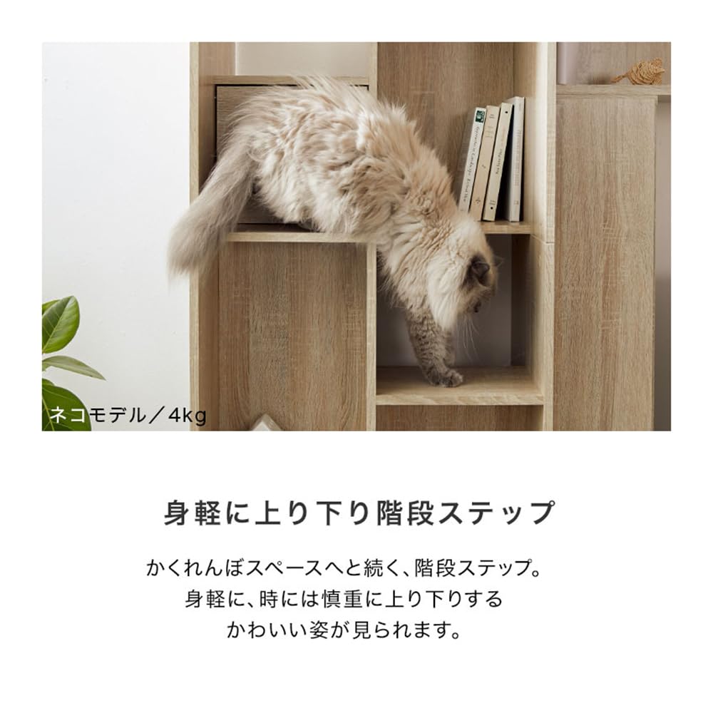 置物 catwalk Amazon.co.jp: Catwalk, Cat Step Wall, Cat Shelf and Perch