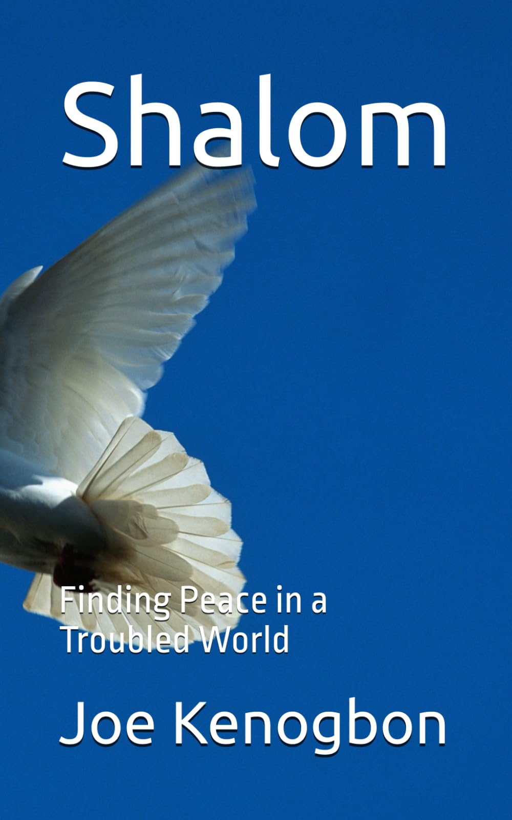 Shalom: Finding Peace in a Troubled World