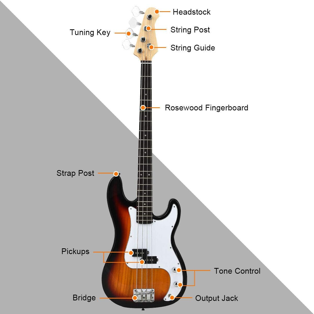Bass Vs Electric Guitar Which Is Best For You? Pro Sound, 46 OFF